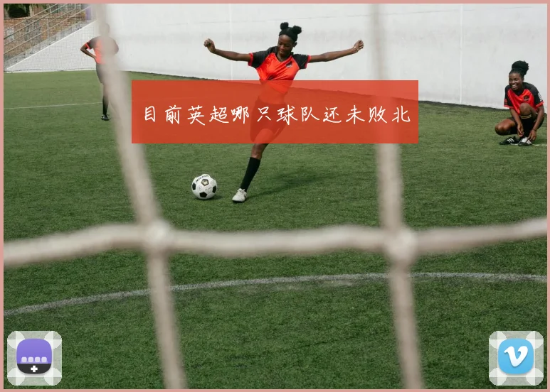 目前英超哪只球队还未败北