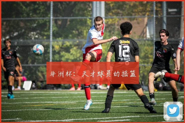 非洲杯：天才球员的摇篮