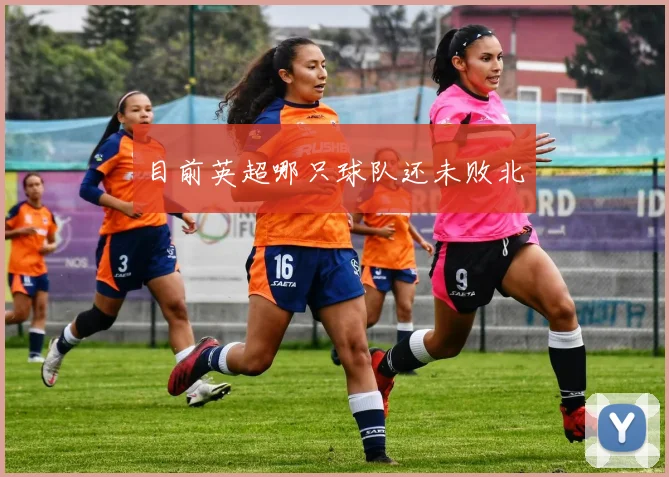 目前英超哪只球队还未败北